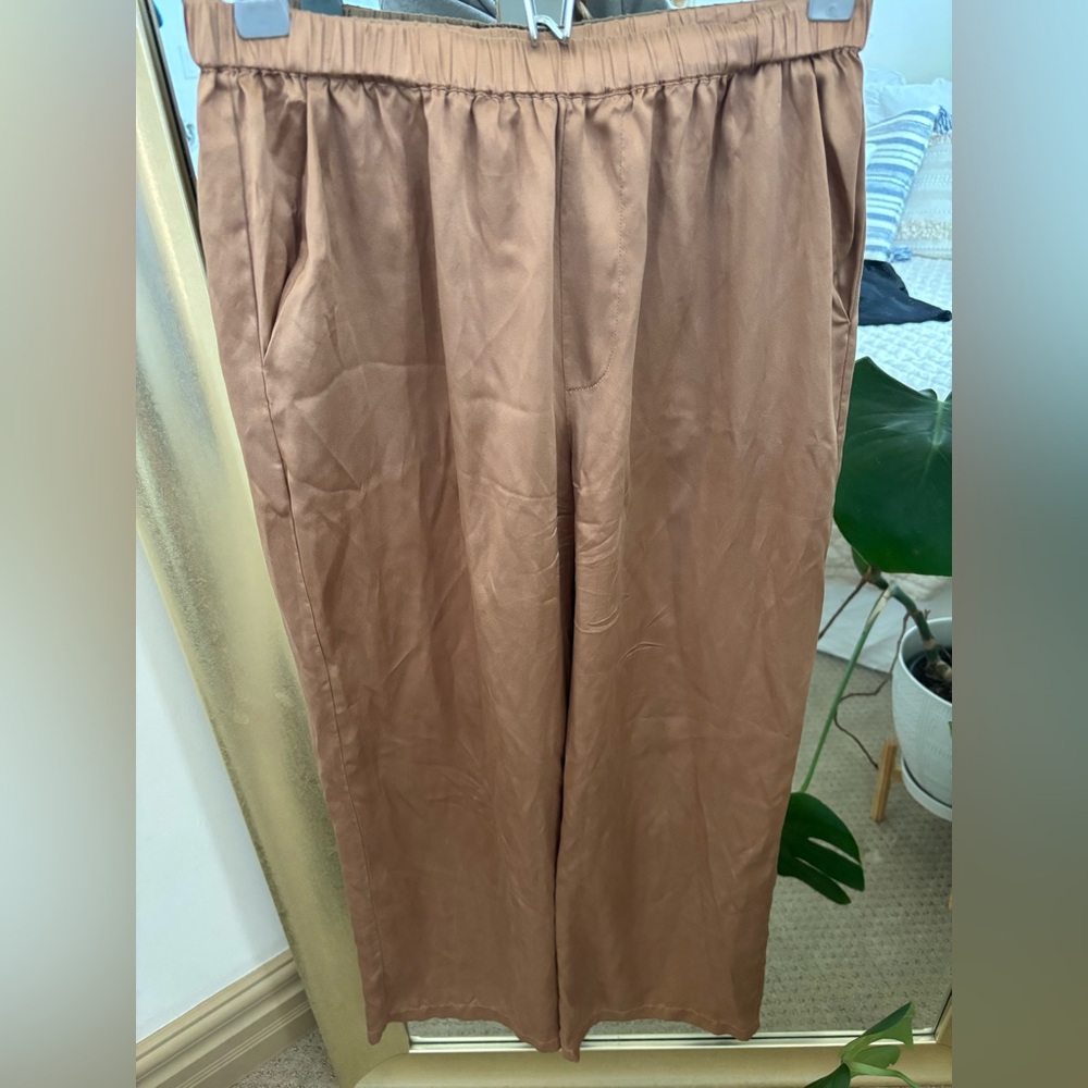 Reformation Tan Silk Pants